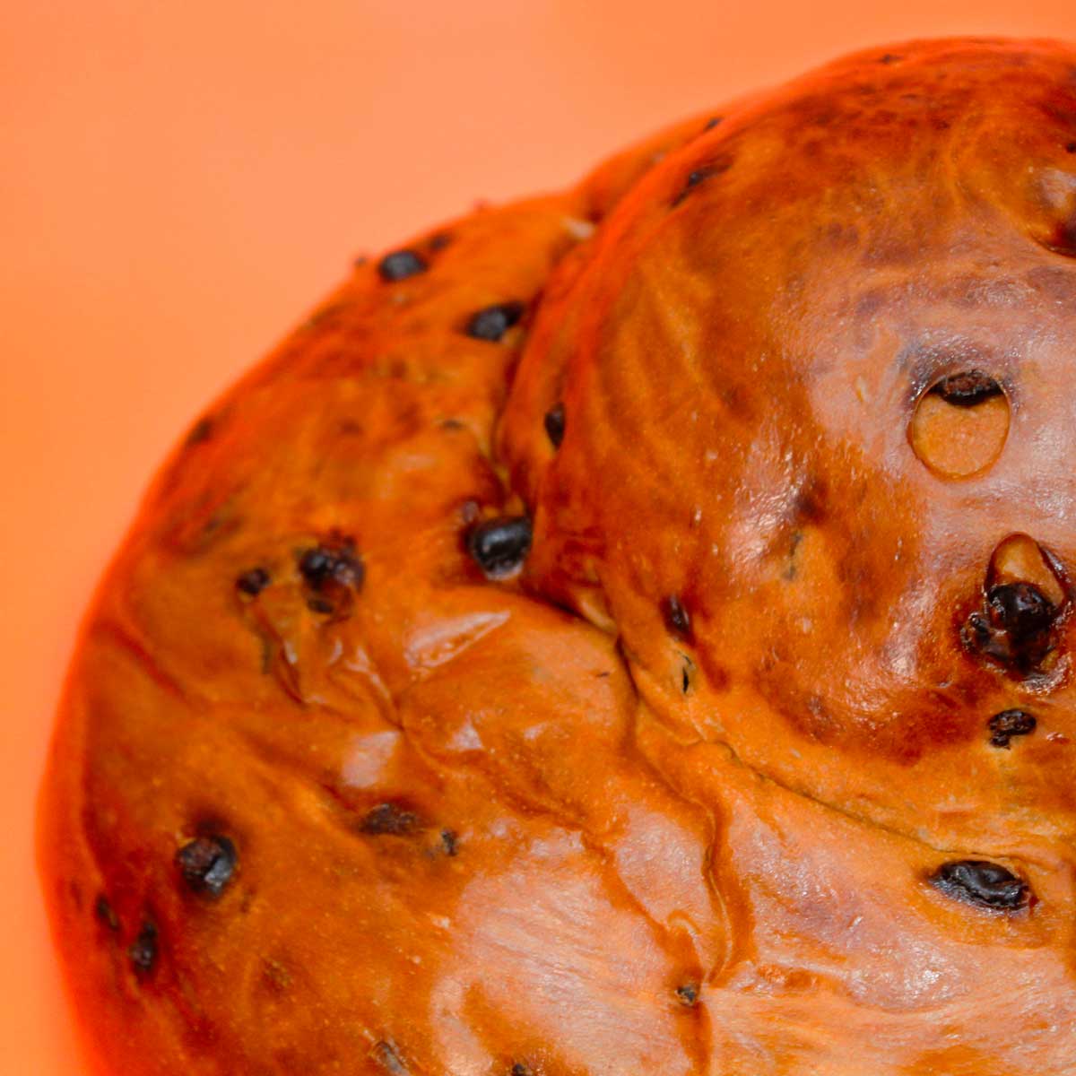 Pangocciolo XXL