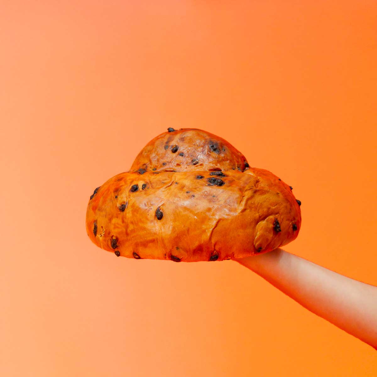 Pangocciolo XXL