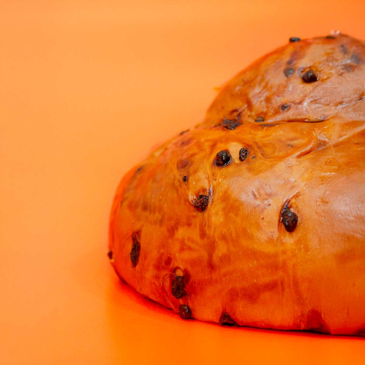 Pangocciolo XXL