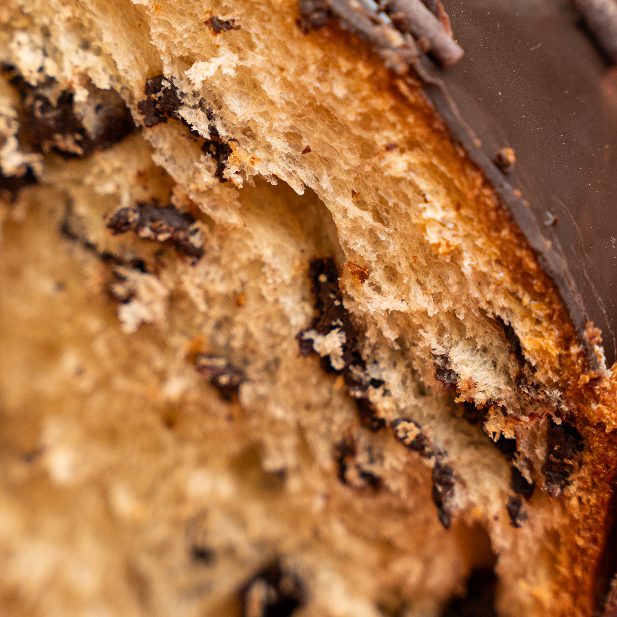 Panettone al cioccolato